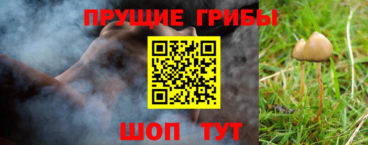 что такое   Псилоцибиновые грибы GOLDEN TEACHER  Вход с VPN  Лыткарино 
